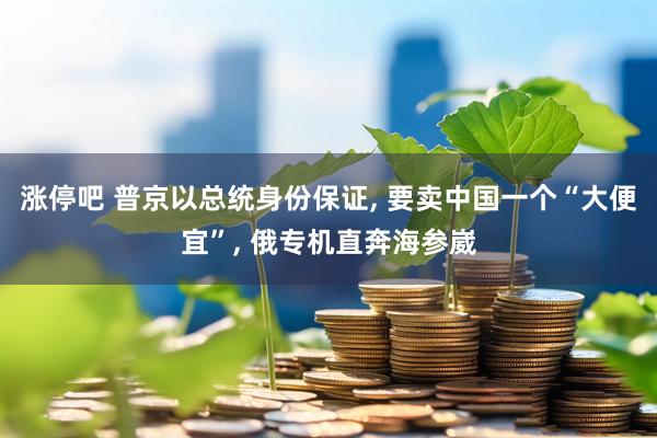 涨停吧 普京以总统身份保证, 要卖中国一个“大便宜”, 俄专机直奔海参崴