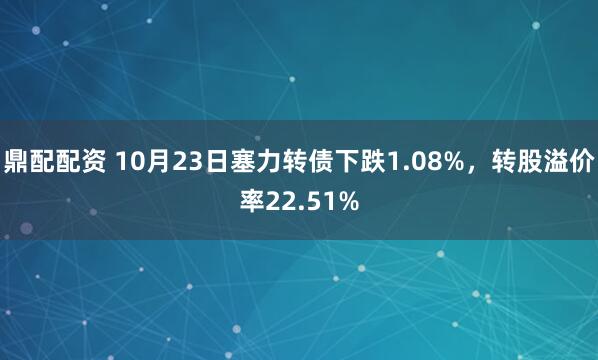 鼎配配资 10月23日塞力转债下跌1.08%，转股溢价率22.51%